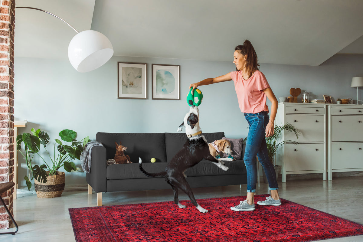 Machine washable Bokhara red rug by Netline Home with classic geometric oriental design, ideal for living rooms and bedrooms.