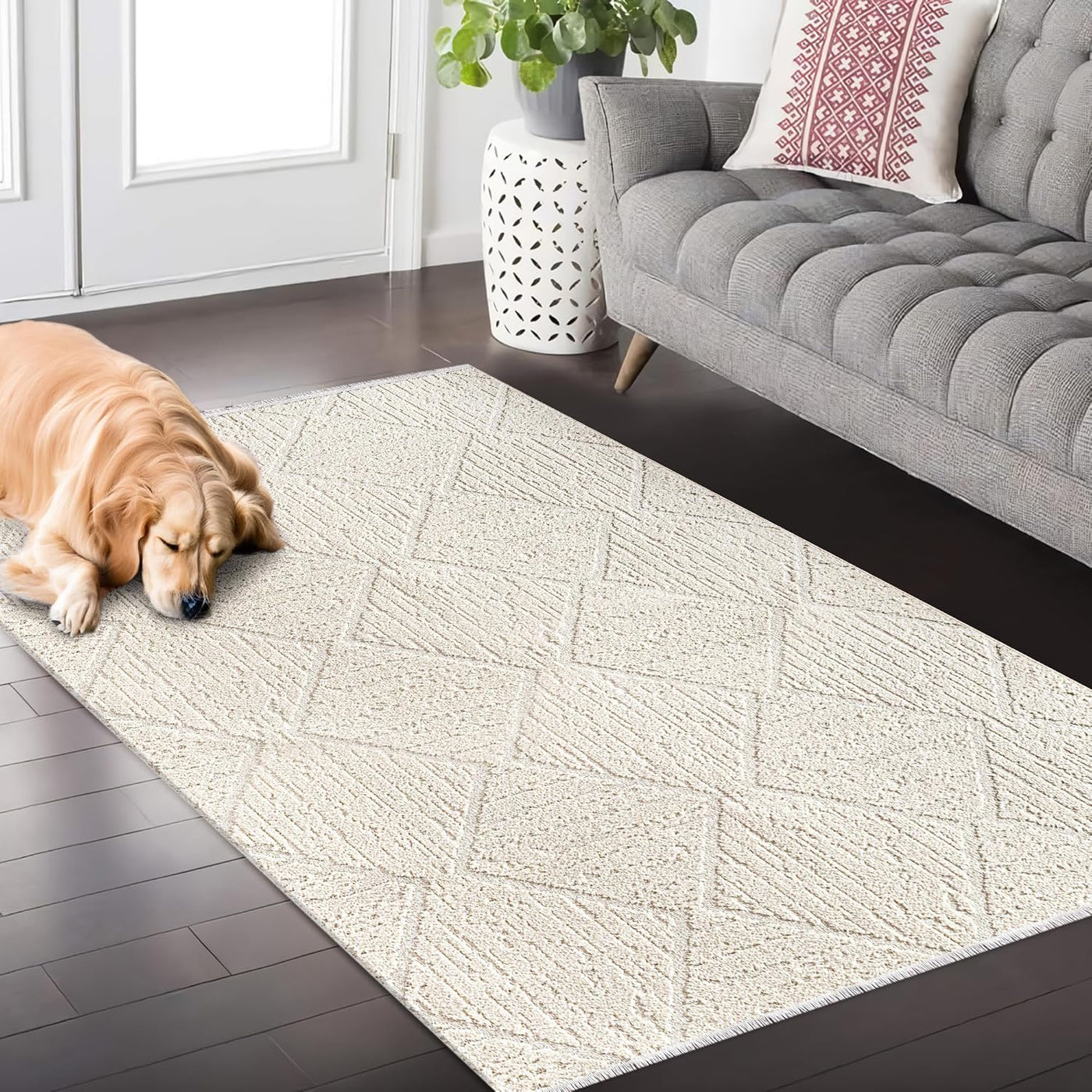 Beige Fluffy Area Rug by Netline Home, large modern carpet for living room, bedroom, or hallway with non-shedding, shed-resistant design.