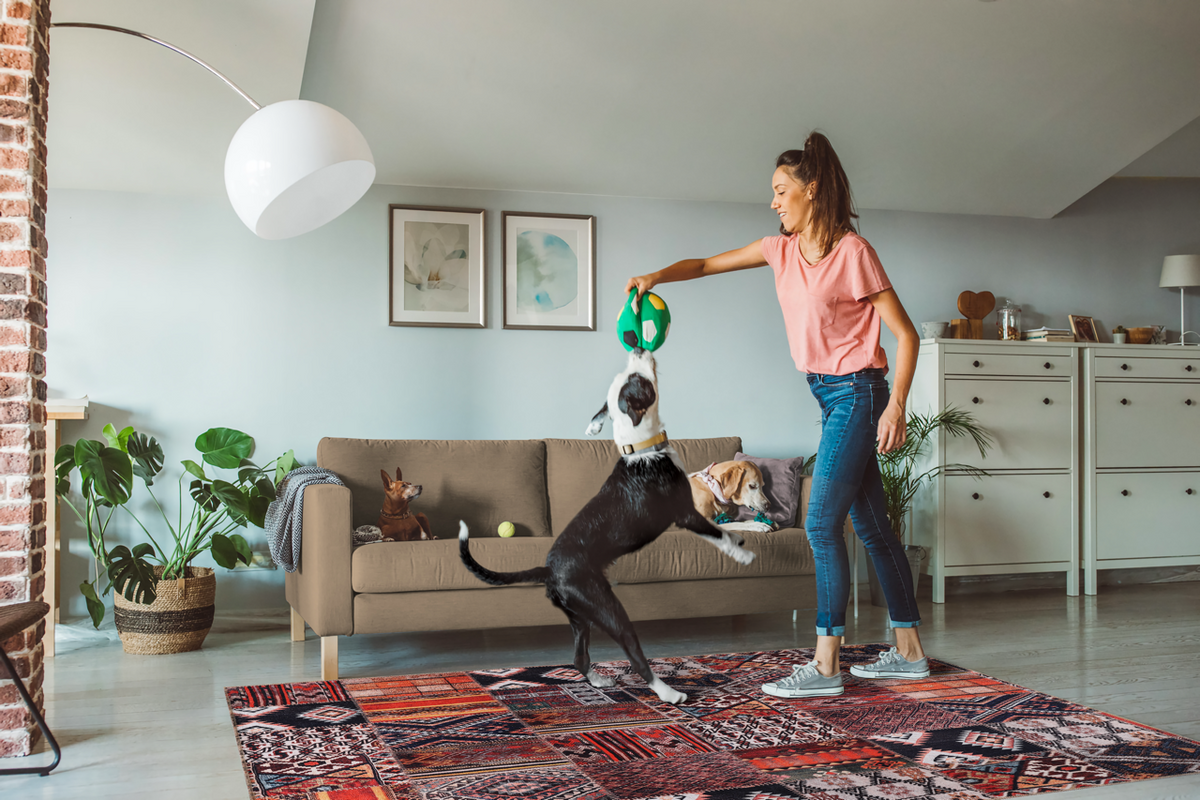 Red medallion patchwork washable rug by Netline Home featuring traditional Kilim design, suitable for pet-friendly home decor.