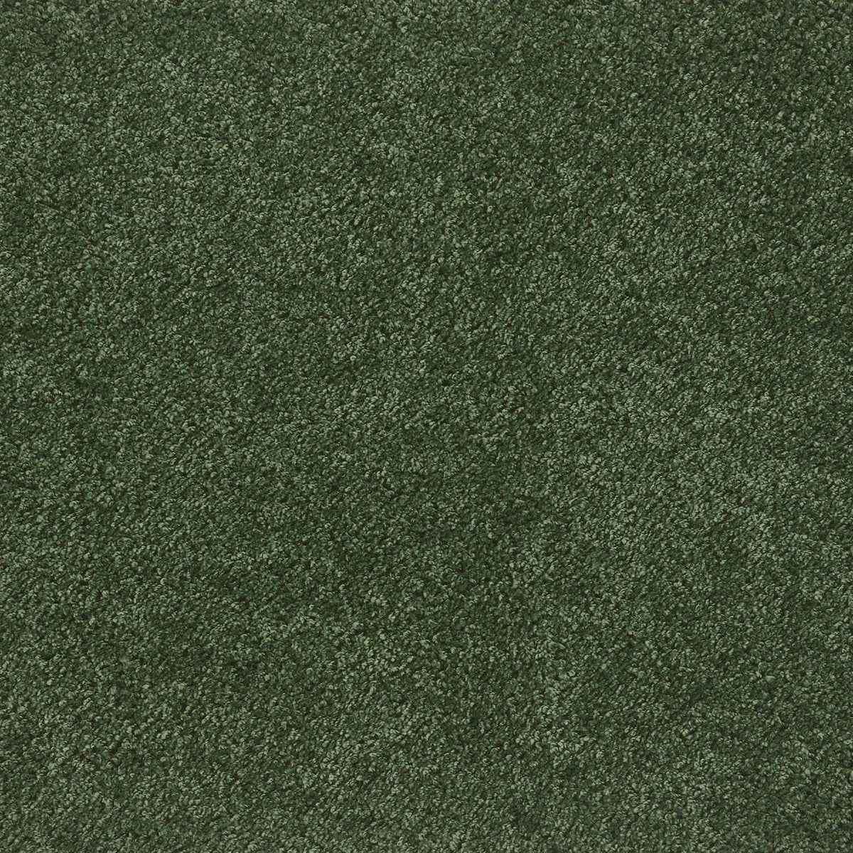 Washable Forest Green Shaggy Rug