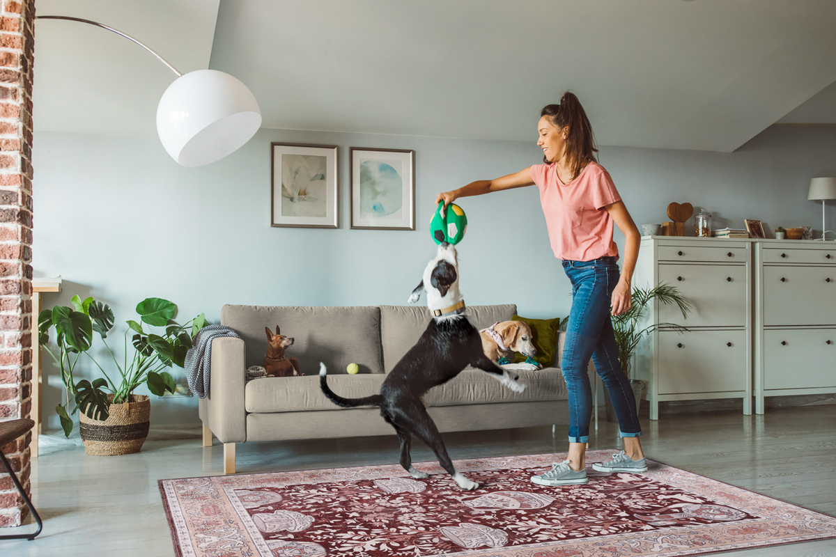 Blue abstract washable rug by Netline Home featuring traditional design, non-slip backing, ideal for living rooms.