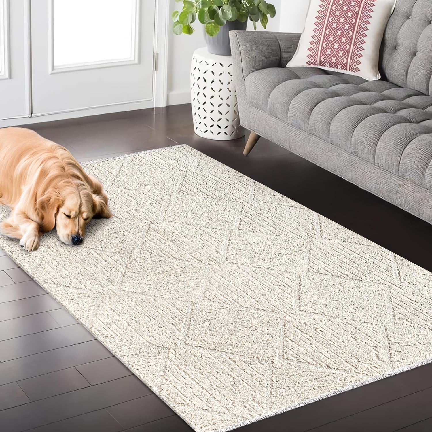Beige Fluffy Area Rug by Netline Home, large modern carpet for living room, bedroom, or hallway with non-shedding, shed-resistant design.