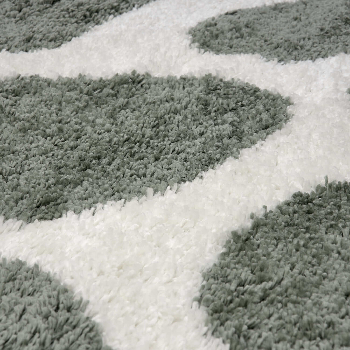 Moodi Shaggy Green Erosan Rug