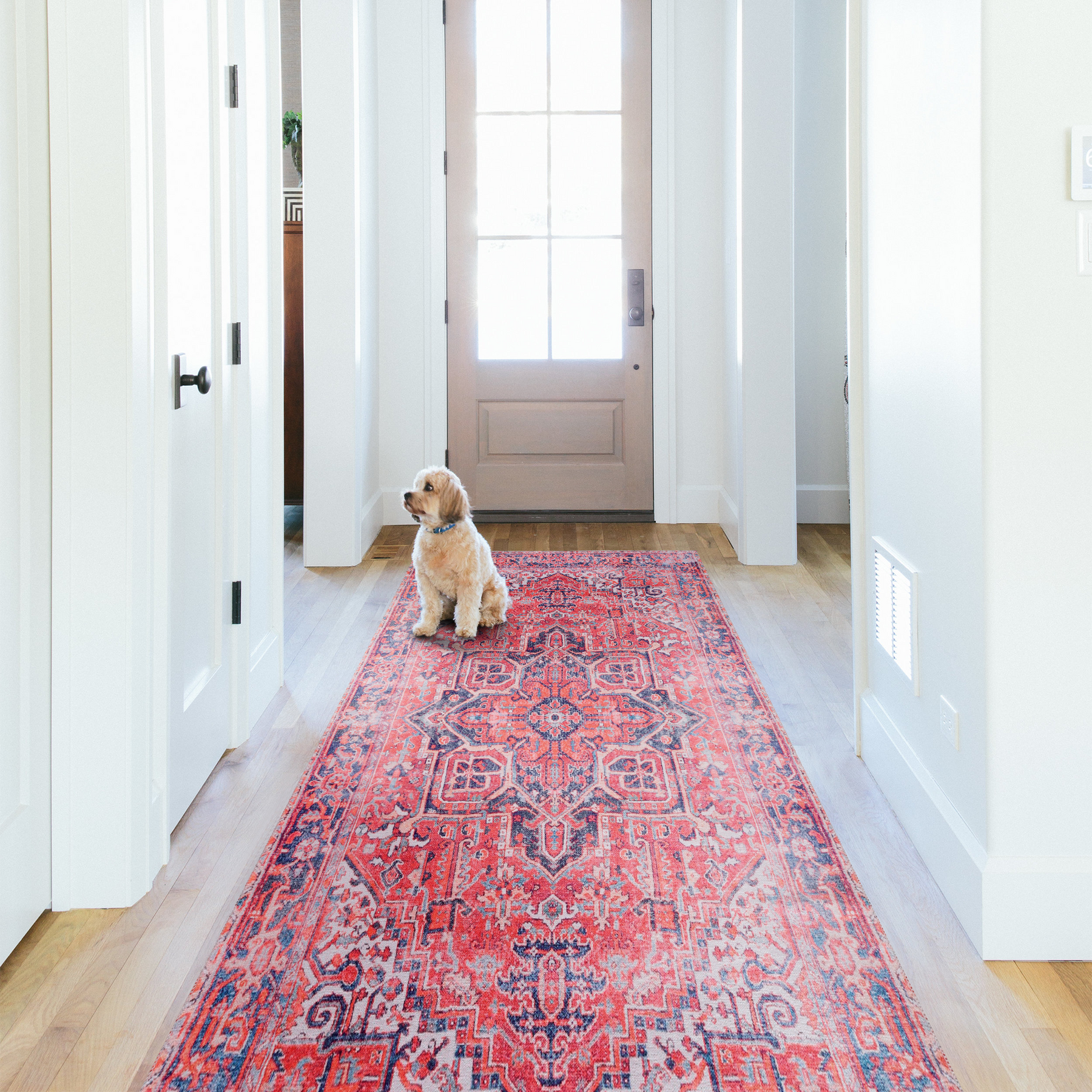 RWNL1001 washable runner rug in a modern hallway
