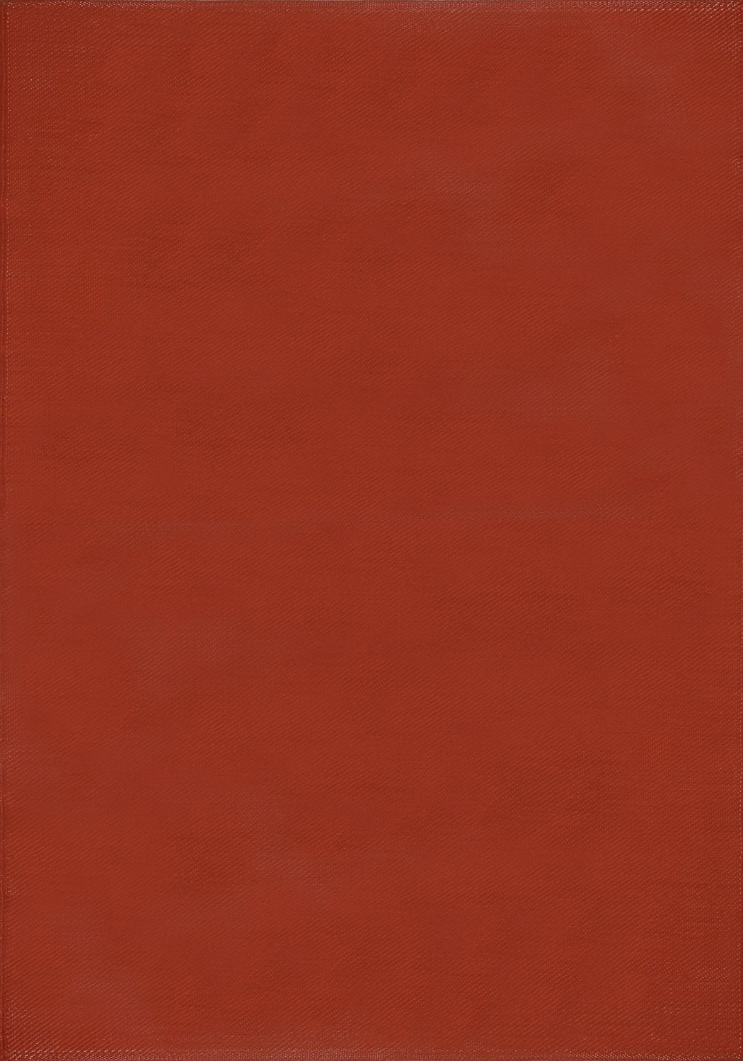 Urban Outdoor Rug Terra – 1000